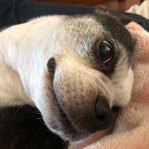 Meet your Posher, Izabella